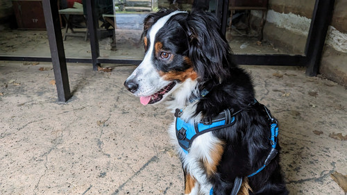 PXL 20230311 160455947~2