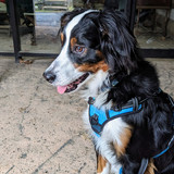 PXL 20230311 160455947~2