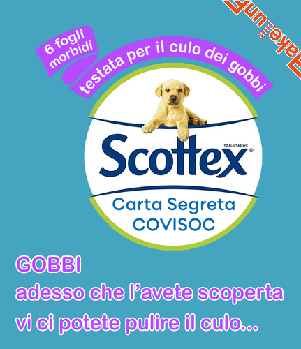 scottex 01.png