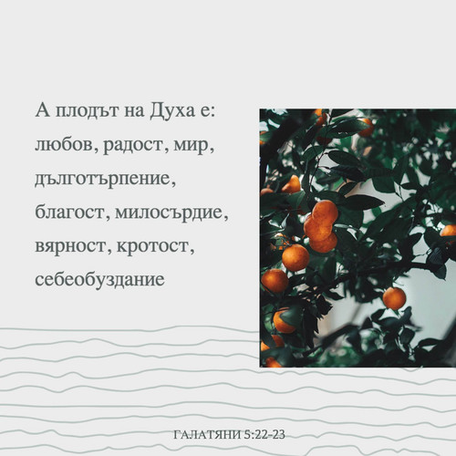 1280x128045.jpg
