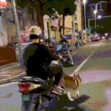 sobaka2.gif