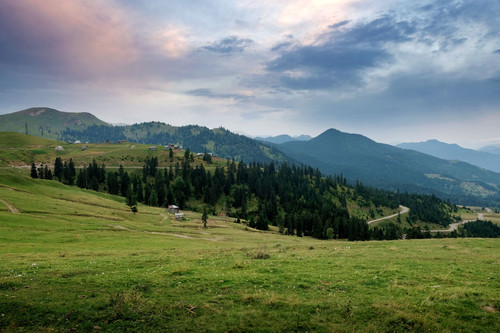 shutterstock 1258121206 min.jpg