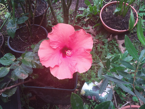 20170721 193108.jpg