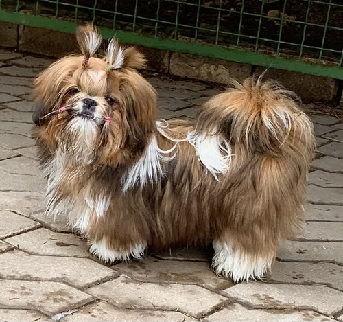 71FDC211 8A43 45AC AC78 24BD2CCA7EE3.jpg