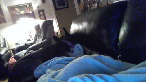 IMG 20230311 175323.jpg