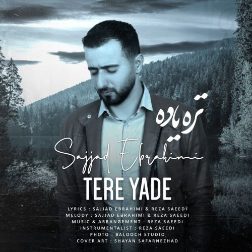 Sajjad Ebrahimi Tere Yade.jpg