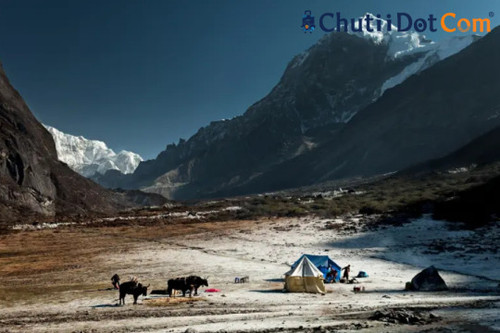 Best Domestic Travel Packages for Sikkim with Pelling: Chutii Dot Com.jpg