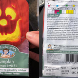 Pumpkin Fothergills Charmant PMR F1