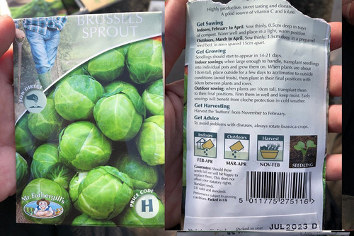 Brussel Sprout Fothergills Brest F1.jpg
