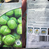 Brussel Sprout Fothergills Brest F1