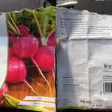 Radish Fothergills Pink Beauty