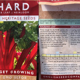 Chard English Seed Compant Rhubarb Leaf