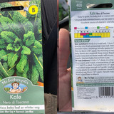 Kale Fothergills Nero di Toscana