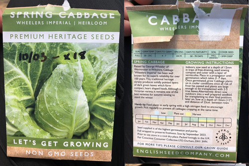 Spring Cabbage English Seed Company Wheelers Imperial.jpg