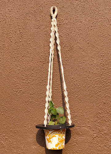 Purchase Plant Shelves from Plantlane.jpg