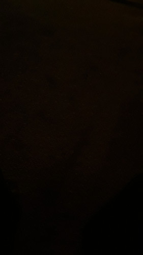٢٠٢٣٠٢٢٨ ١٩٢٠٣٩.jpg