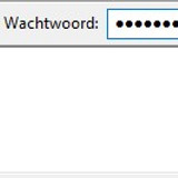29 te veel foutieve pogingen