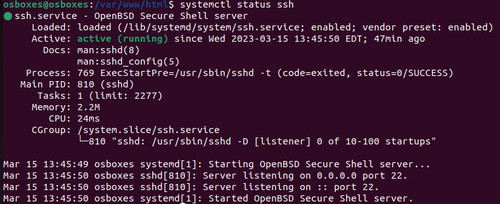 10 Status OpenSSH.jpg
