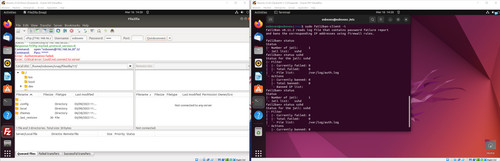 37 whitelist werkt.jpg