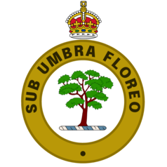 AddText 03 11 03.57.56 6 11.png