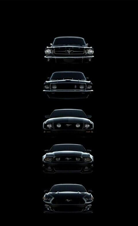 B613CB36 7C5F 42FA B226 06C6414E6279.jpg