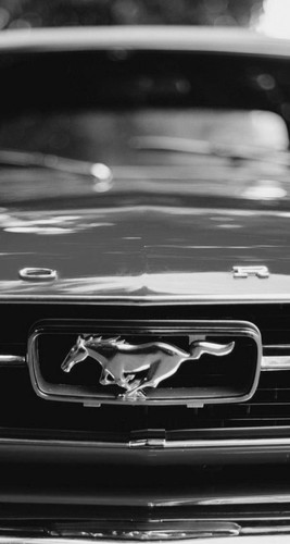 E06B835D 7584 47B2 9CDC 6E40236AEBDC.jpg