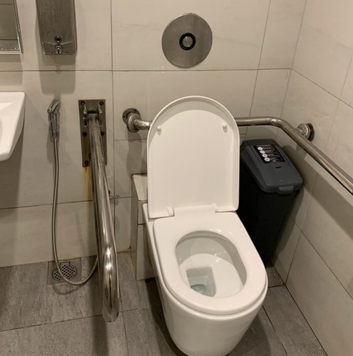 toiletimage1.jpg