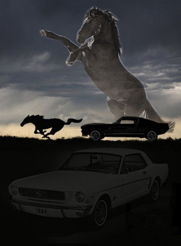 EF9A3050 1887 4CF4 A43A 0DD938499F25.jpg