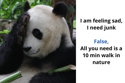 Notification 2 (54).png