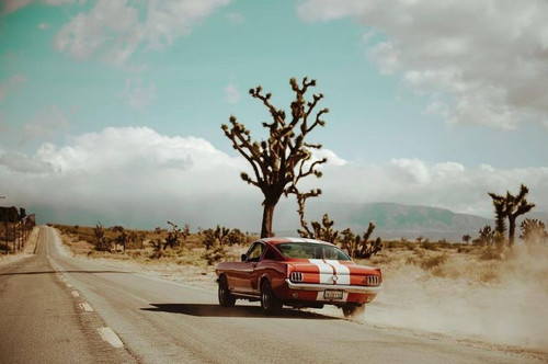 D74D4D38 38FE 446E AD00 2B80565E2E1A.jpg