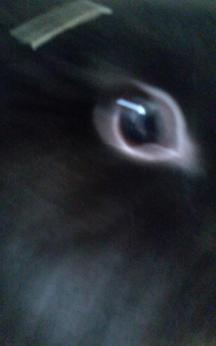 20230314 145535.jpg