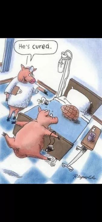 Fp7xsorWcAIlXlU 338x730.webp