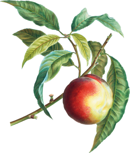 2CB66F6E 47FA 4245 9117 5EC6F53984A9.png