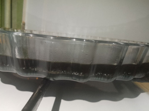 IMG 20230308 213623 855.jpg