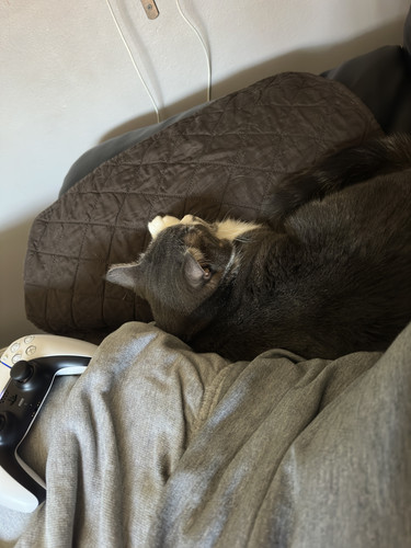 AFA130A6 3F8B 4AF7 AAE7 01A215575736.jpg