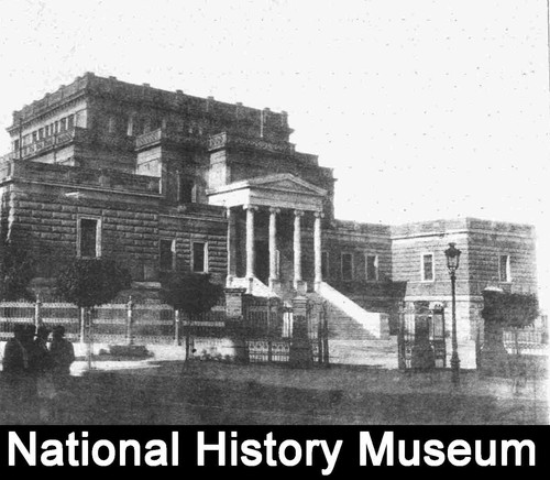 image3 arnocular.jpg