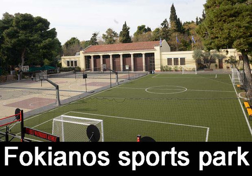 image8 arnocular.jpg