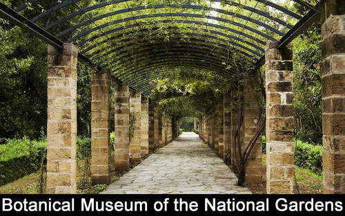 image12 arnocular.jpg