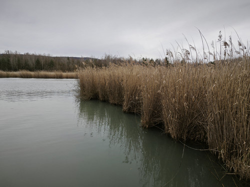 IMG 20230315 131240.jpg