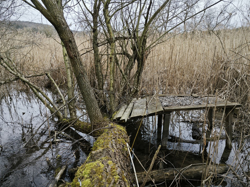 IMG 20230315 130729.jpg