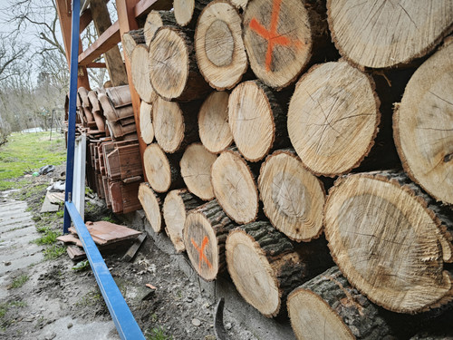 IMG 20230315 132727.jpg