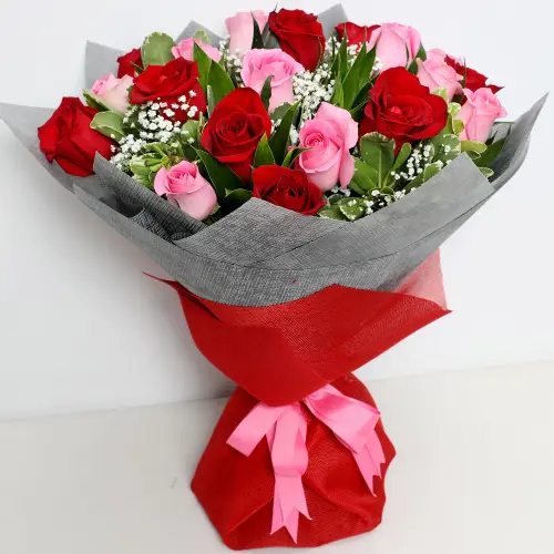 mixed.webp