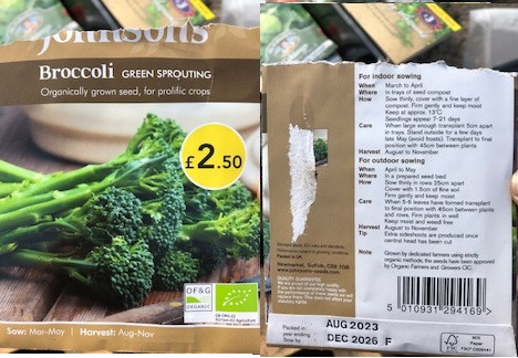 Broccoli Johnson Green Sprouting.jpg