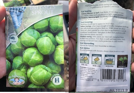 Brussel Sprout Fothergills Brest F1.jpg