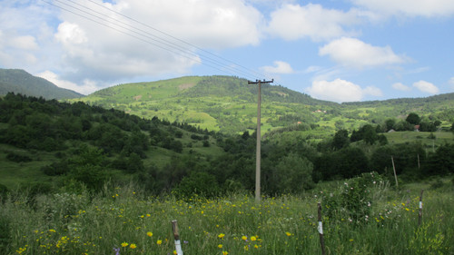 IMG 0323.jpg