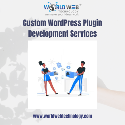 Custom WordPress Plugin Development Services.png