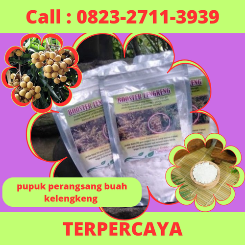 Klik https://wa.me/6282327113939 Pupuk Perangsang Buah Kelengkeng, Pupuk Cair Perangsang Buah Kelengkeng, Pupuk Untuk Kelengkeng Agar Berbuah Lebat, Pupuk Untuk Kelengkeng Agar Cepat Berbuah, Pupuk Untuk Kelengkeng Cepat Berbuah