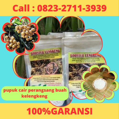 100% GARANSI! CALL 0823-2711-3939 distributor Pupuk Cair Perangsang Buah Kelengkeng.png