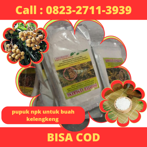 Klik https://wa.me/6282327113939 Pupuk Npk Untuk Buah Kelengkeng, Pupuk Perangsang Buah Kelengkeng, Pupuk Cair Perangsang Buah Kelengkeng, Pupuk Untuk Kelengkeng Agar Berbuah Lebat, Pupuk Untuk Kelengkeng Agar Cepat Berbuah