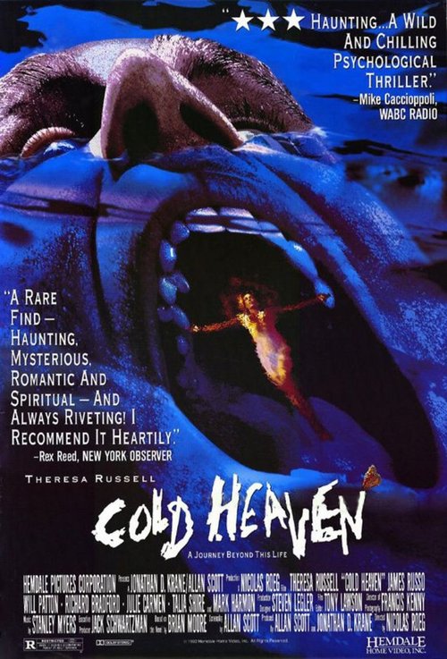 Zimne niebiosa / Cold Heaven (1991) PL.1080p.WEB-DL.x264-wasik / Lektor PL